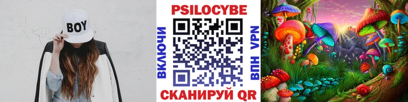 Псилоцибиновые грибы Psilocybe  Купить где  Новоаннинский 