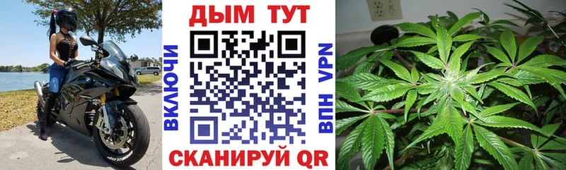 Канабис гибрид Купить где Новоаннинский